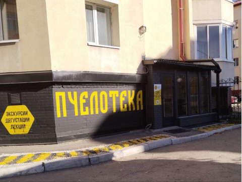 Приглашаем в мир пчёл! Увлекательные экскурсии для школьников и дошколят в Музее меда и томского пчеловодства «Пчелотека»